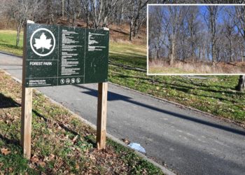Hero dad rescues 11-year-old daughter from perv who dragged her into a remote area of NYC Park: cops