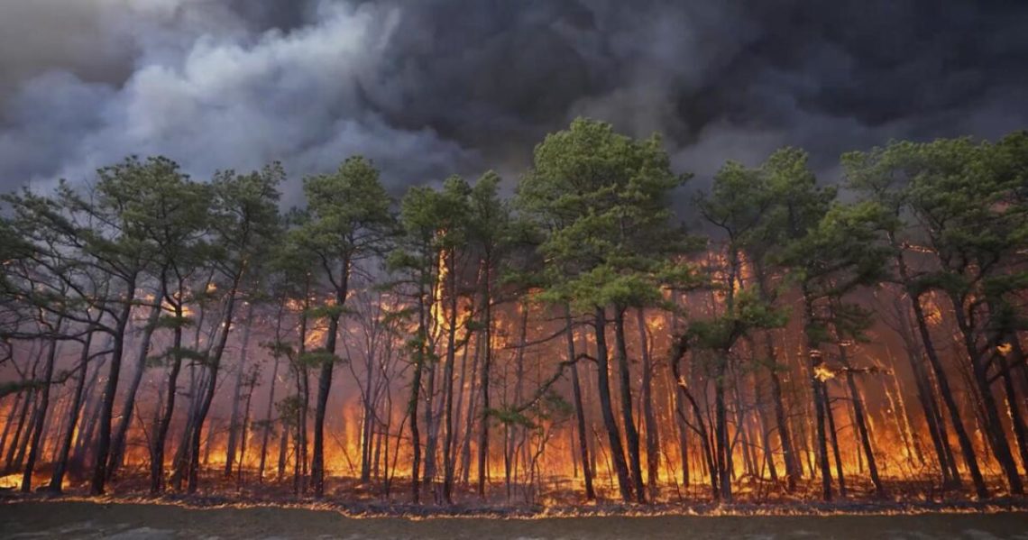 Humo de incendios forestales por cambio climático causa miles de muertes en EEUU, según estudio