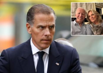 Hunter Biden spotted parking rental car in South Africa in first public appearance since dad Joe’s cancer reveal