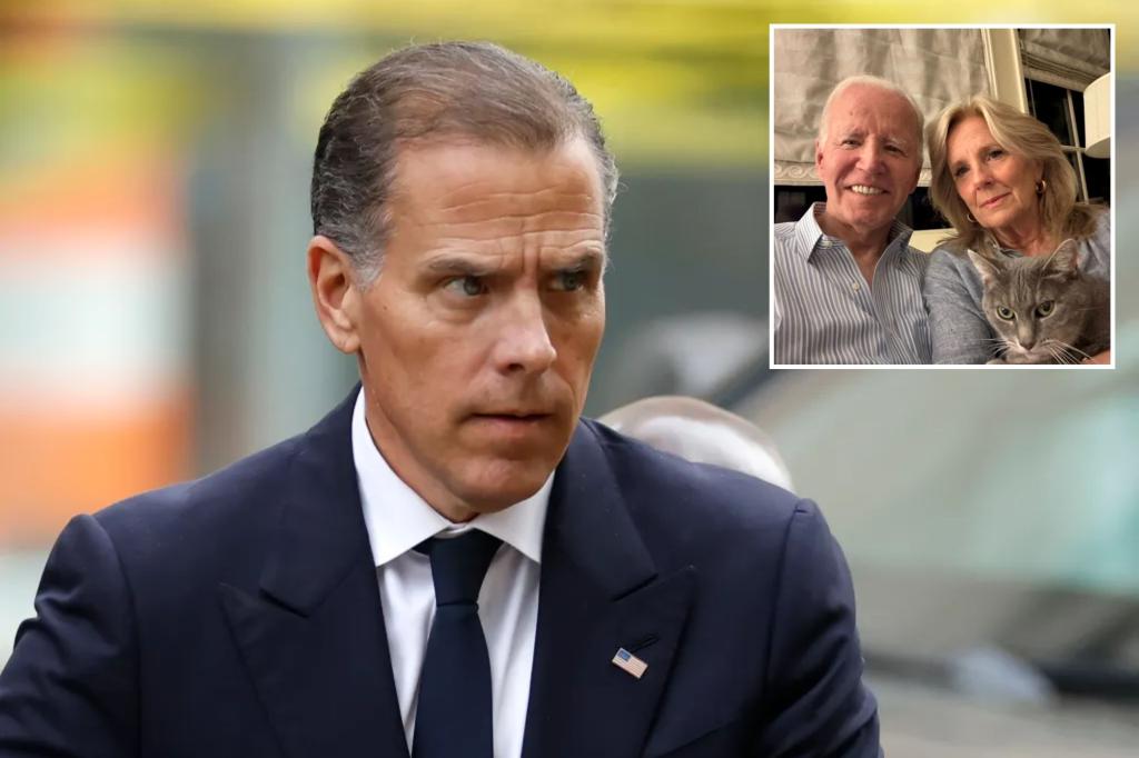 Hunter Biden spotted parking rental car in South Africa in first public appearance since dad Joe’s cancer reveal
