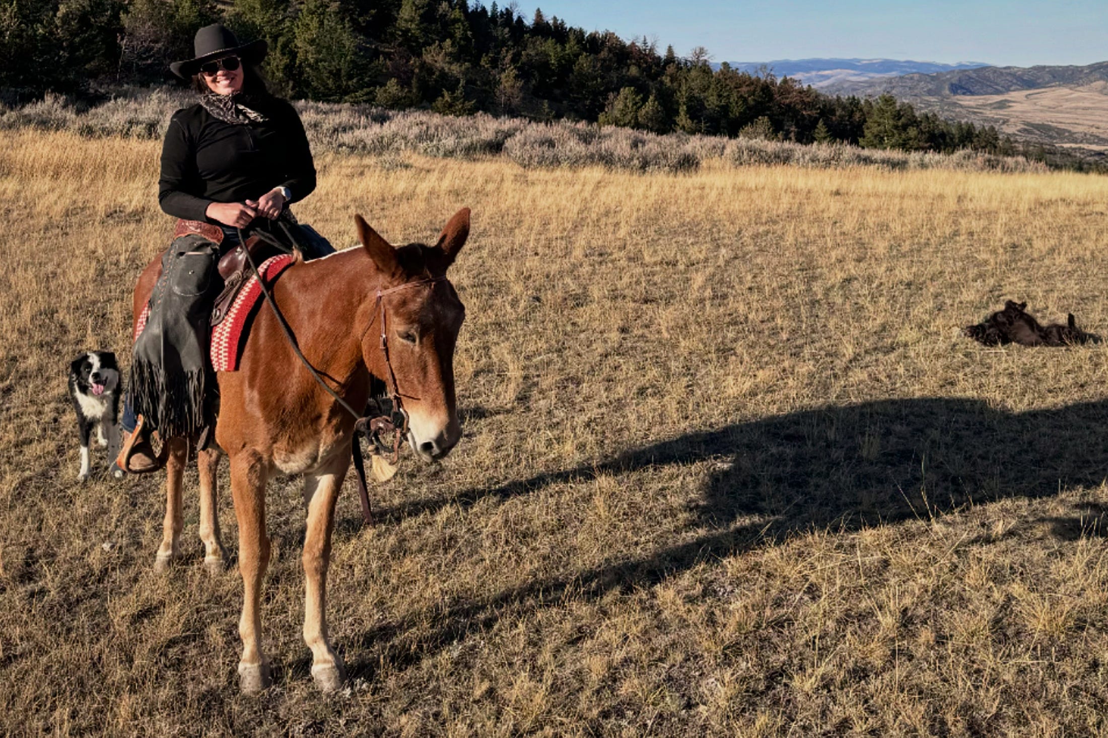 Author Nicole Qualtieri riding an animal in Montana