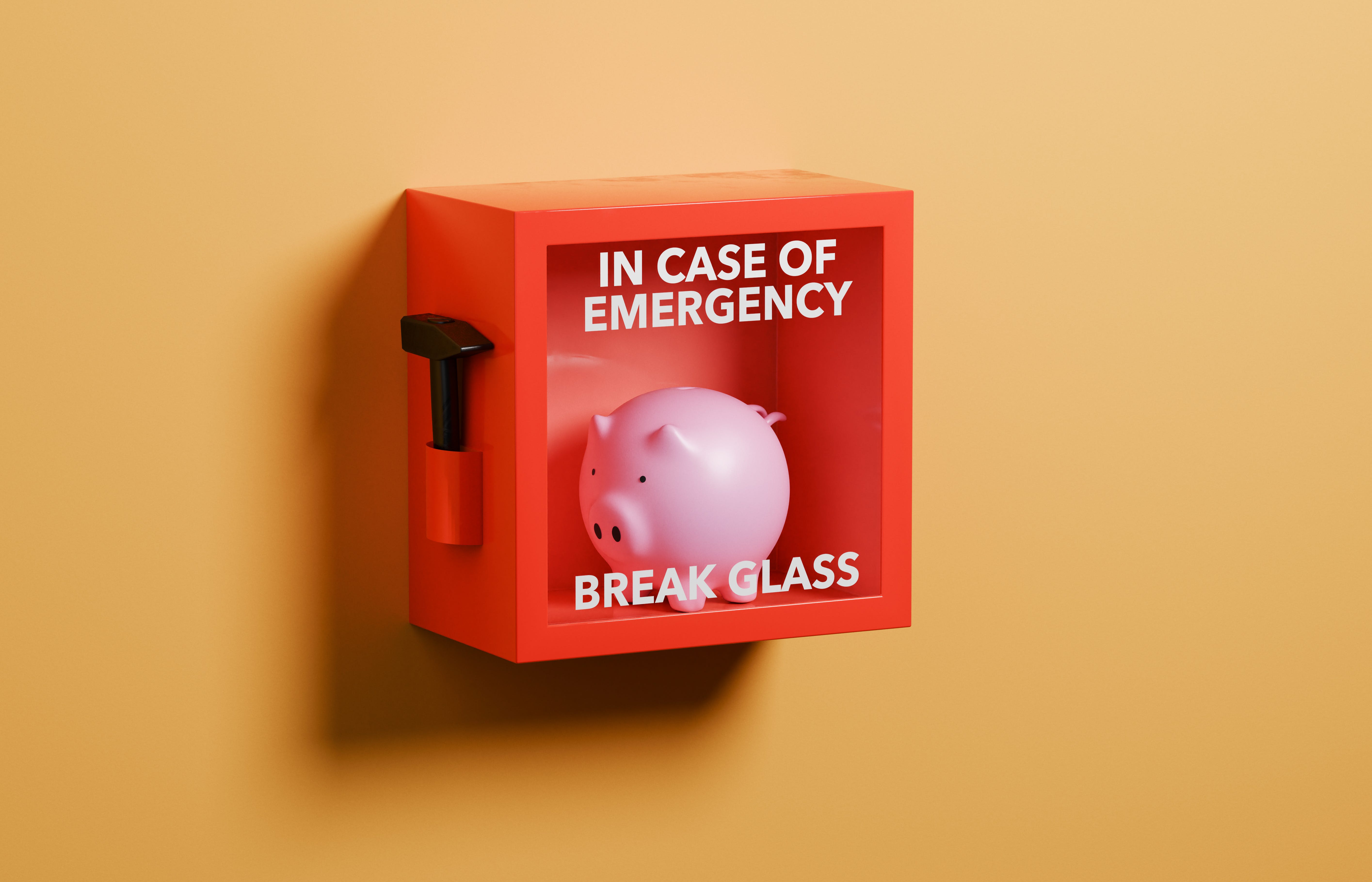 A pink piggy bank enclosed in a 'break in case of emergency' case