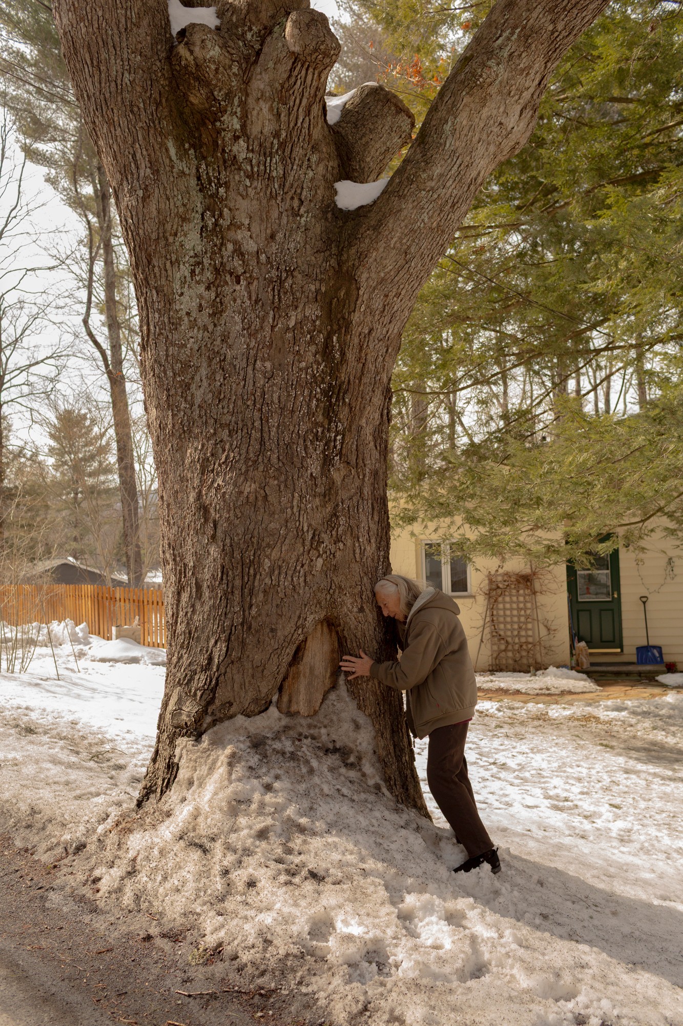 photo of woman leaning with hand pressed against enormous tree next to road with snow on ground and house behind