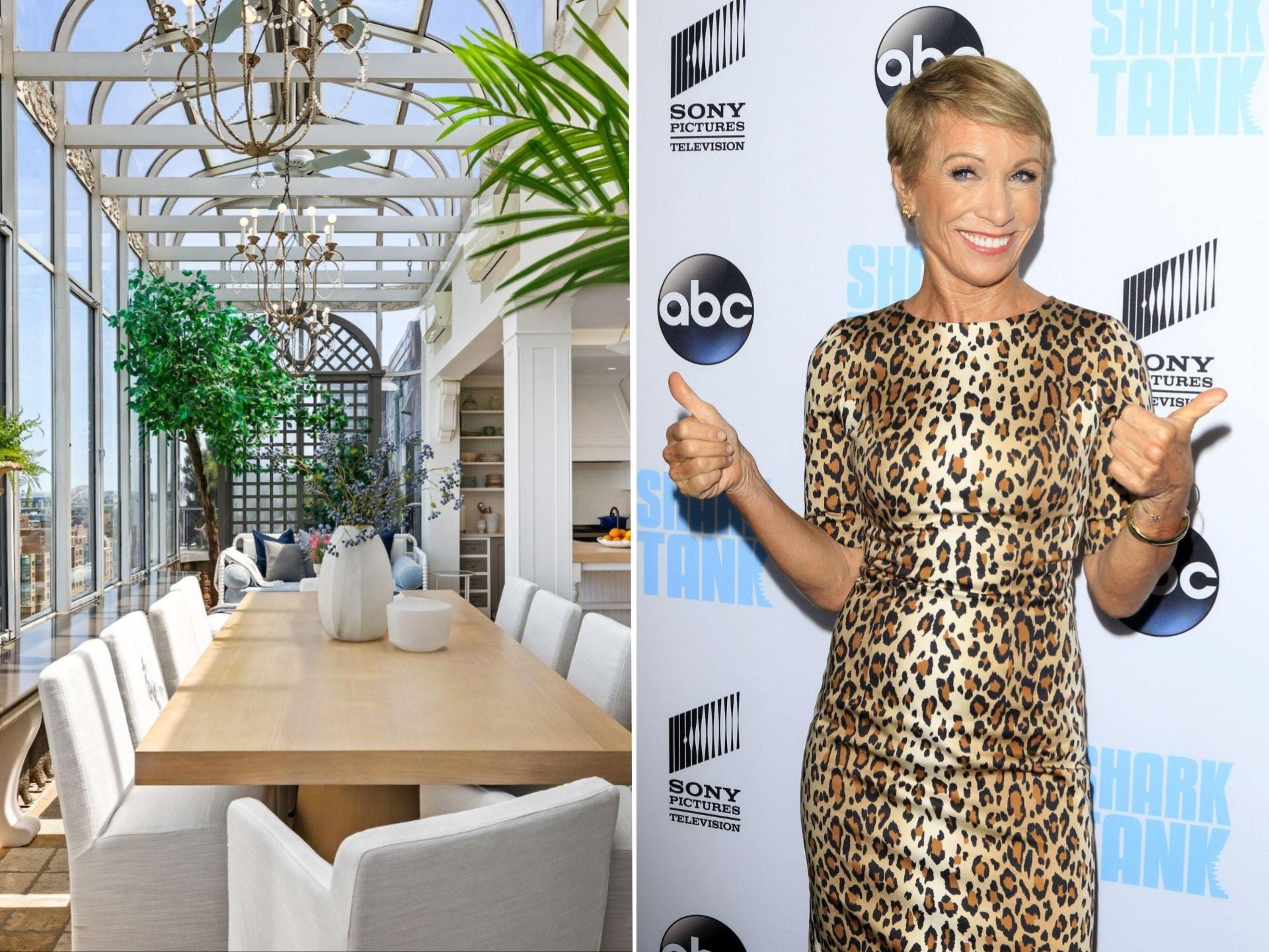 A solarium in a penthouse on the left, and Barbara Corcoran on the right.