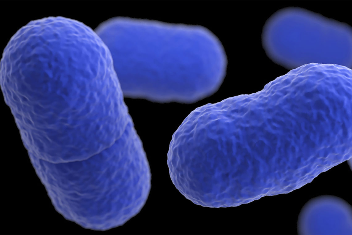 Listeria Outbreak: Four States with Recalls As 10 People Hospitalized in US