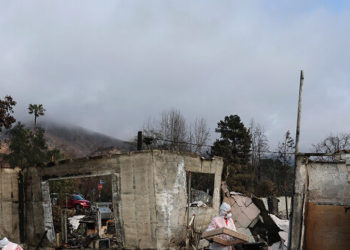 Los Angeles Police Try to Return Guns to Palisades Fire Victims