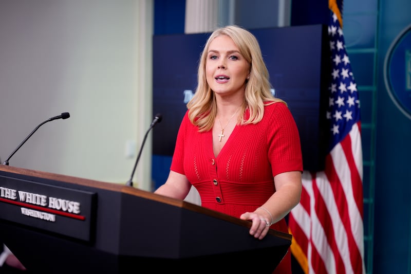 White House Press Secretary Karoline Leavitt insisted on May 29, 2025 that the work of DOGE would continue under Cabinet members and President Trump's leadership as Elon Musk departs.