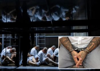 MS-13 gangbangers in US illegally allegedly stabbed three Va. correction officers in heinous attack: officials