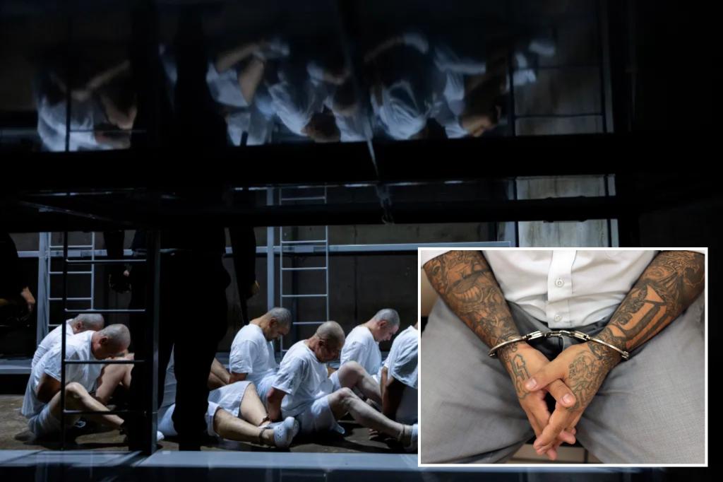 MS-13 gangbangers in US illegally allegedly stabbed three Va. correction officers in heinous attack: officials