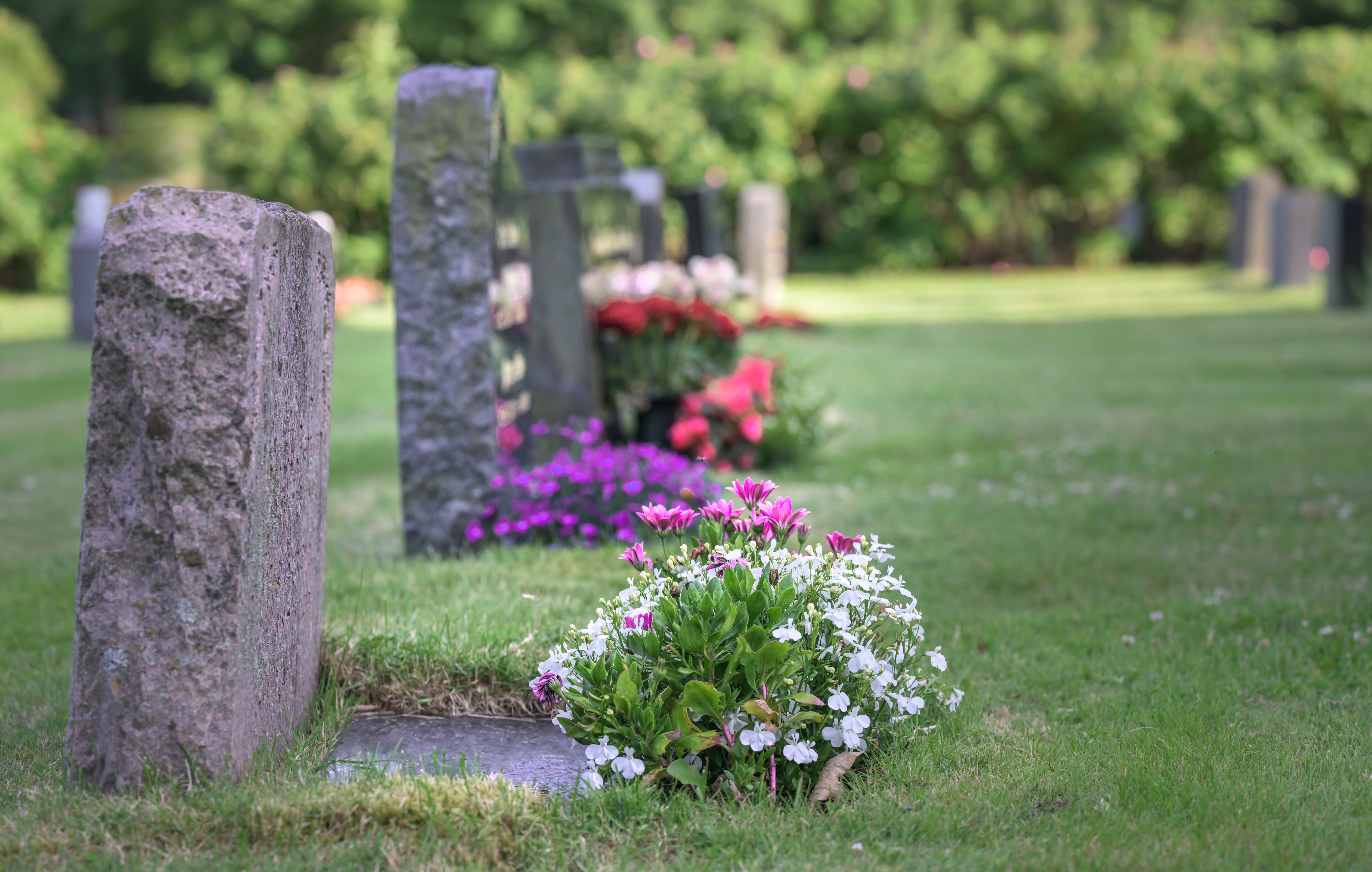 A row of tombstones with blooming flowers.