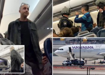 Navy technician accused of making false bomb threat on Hawaiian Airlines flight