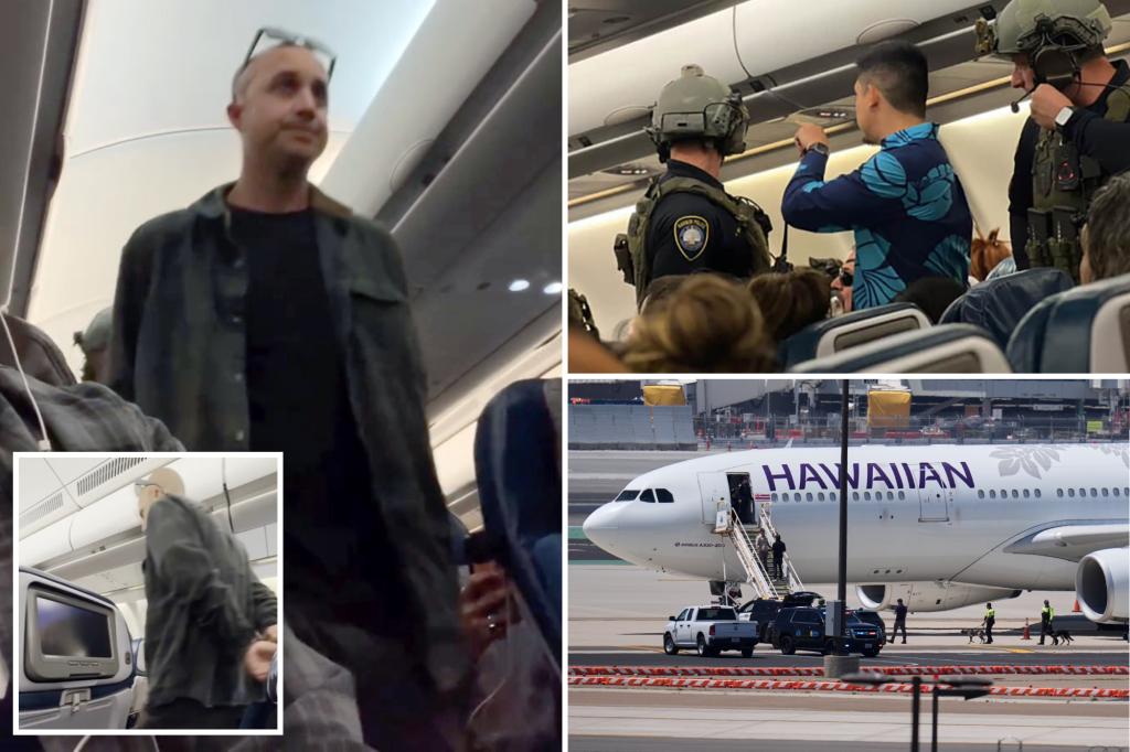 Navy technician accused of making false bomb threat on Hawaiian Airlines flight