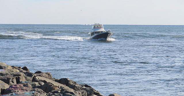 New Jersey Girl, 14, Braves Chilly Delaware River to Save Drowning Boy