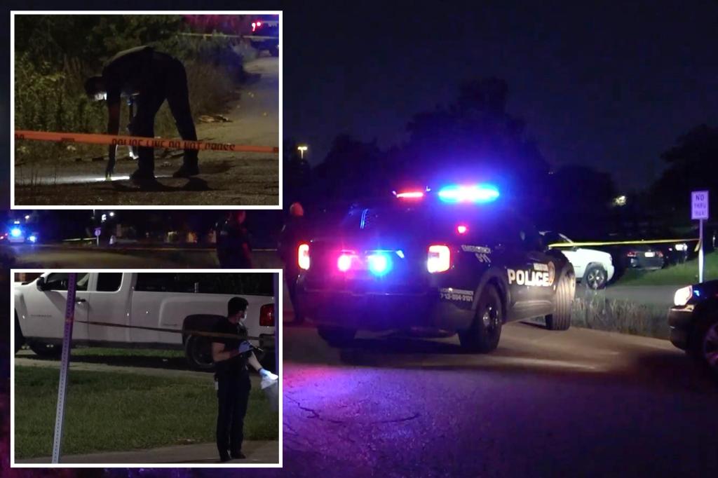 One dead, 14 injured in mass shooting at family party in Houston