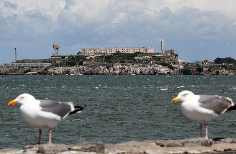 A pair of seagulls stand on a ledge across from Alcatraz Island in San Francisco, California.