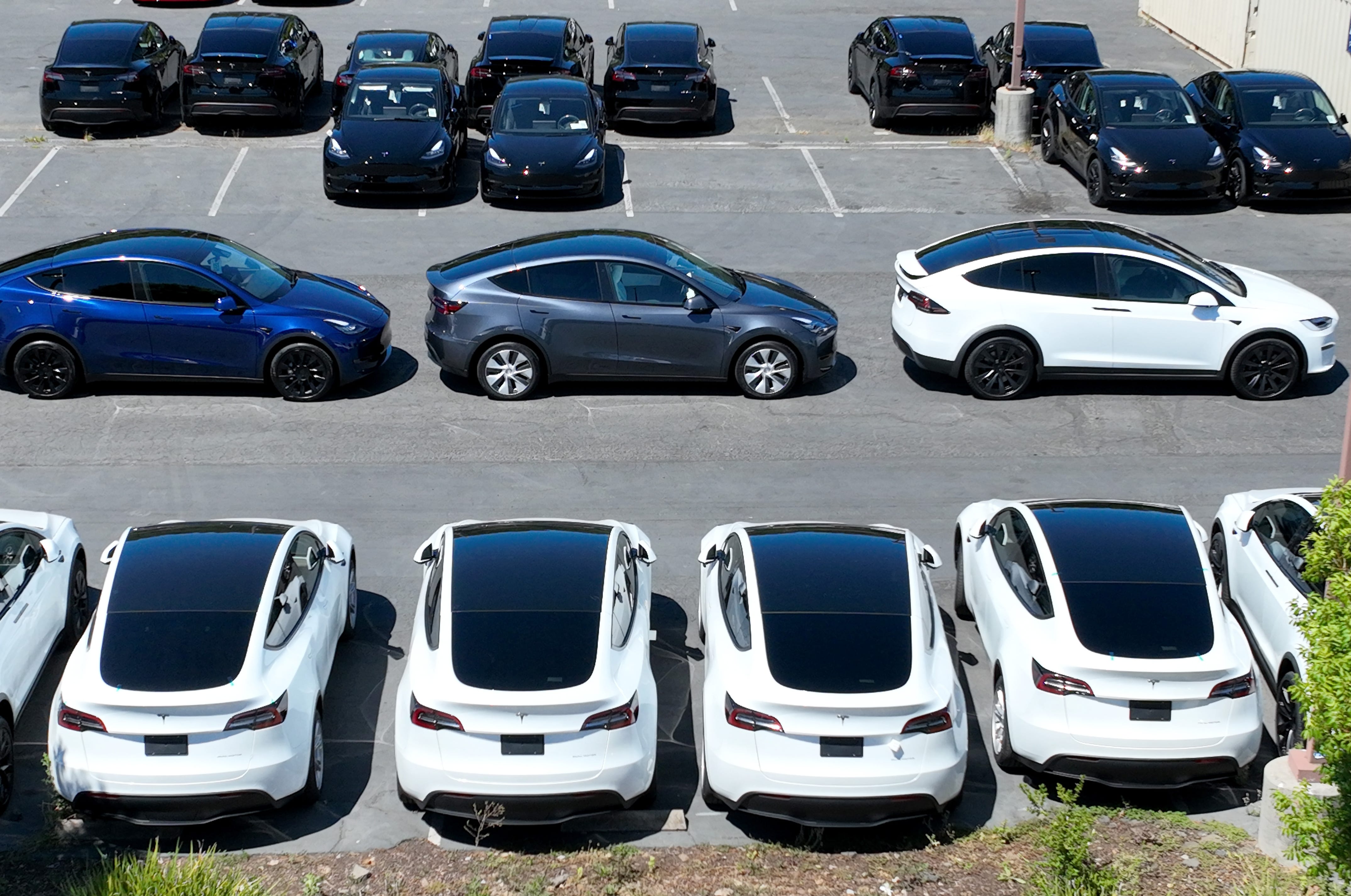 Teslas in parking lot