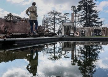 Pools inside the Altadena burn zone are becoming breeding grounds for mosquitoes