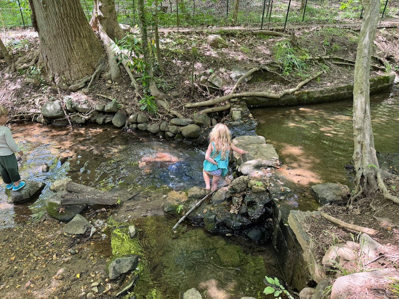 Robert F. Kennedy at Rock Creek.