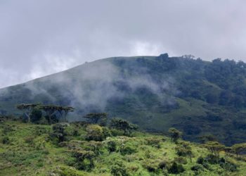 Researchers found evidence that Africa might be breaking in two