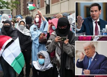 Rubio announces US will bar foreign censors from getting visas