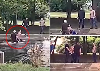 Shirtless illegal immigrant busted by ICE after jumping headfirst into pond in wild caught-on-camera pursuit