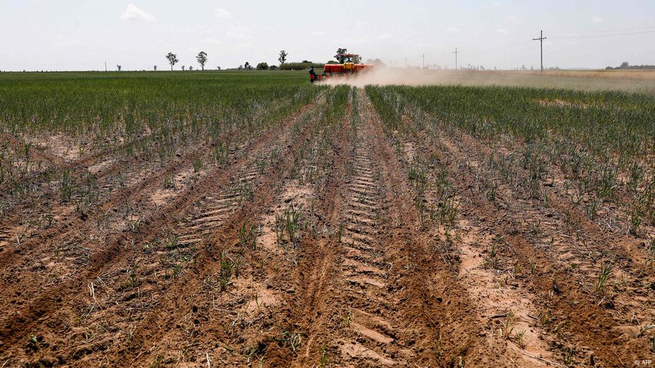 South Africa’s land law in the spotlight amid Trump row