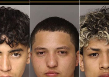 South Carolina: Six Illegal Migrants Charged with Murdering Woman