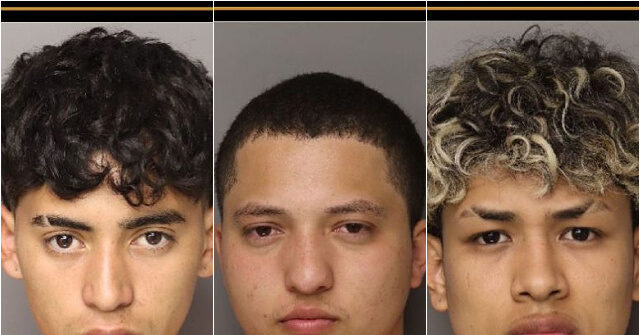 South Carolina: Six Illegal Migrants Charged with Murdering Woman