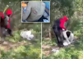 Teens attack 2 girls with bat, shave 16-year-old’s head in NYC park assault: ‘Vile and inhumane’