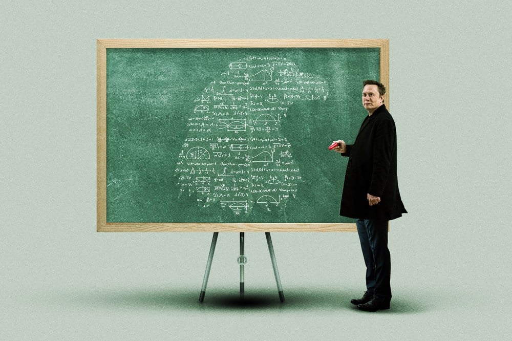 What Was Elon Musk Trying to Achieve?