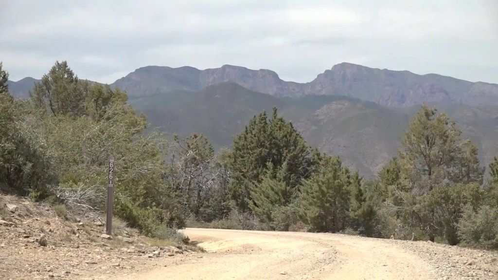 The teens were discovered near Mount Ord off State Route 87.