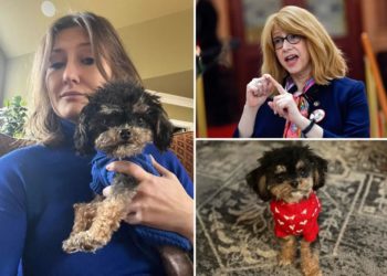 Pup fatally struck by speeding e-bike – and grieving UES owner can’t get justice thanks to legal loophole: ‘Just heartbreaking’