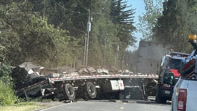 A swarm of bees seen near the crash truck in Lyden.