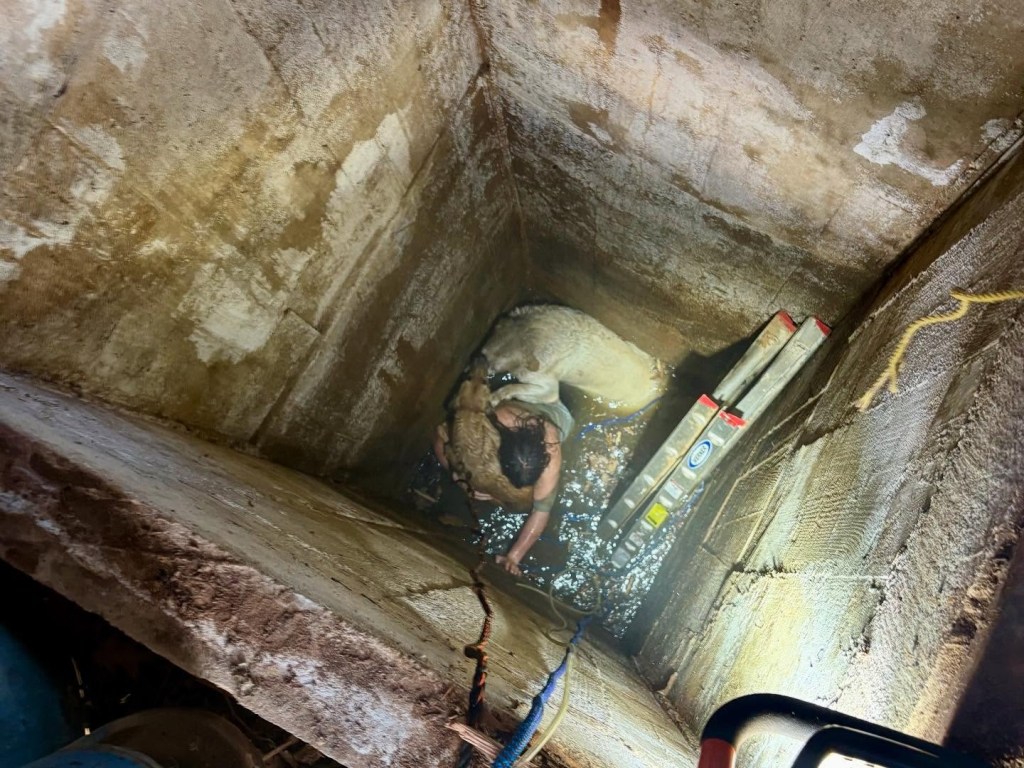A California teen had to be rescued by a specialized team after becoming trapped in an abandoned mine shaft trying to save the family dogs that had already fallen in