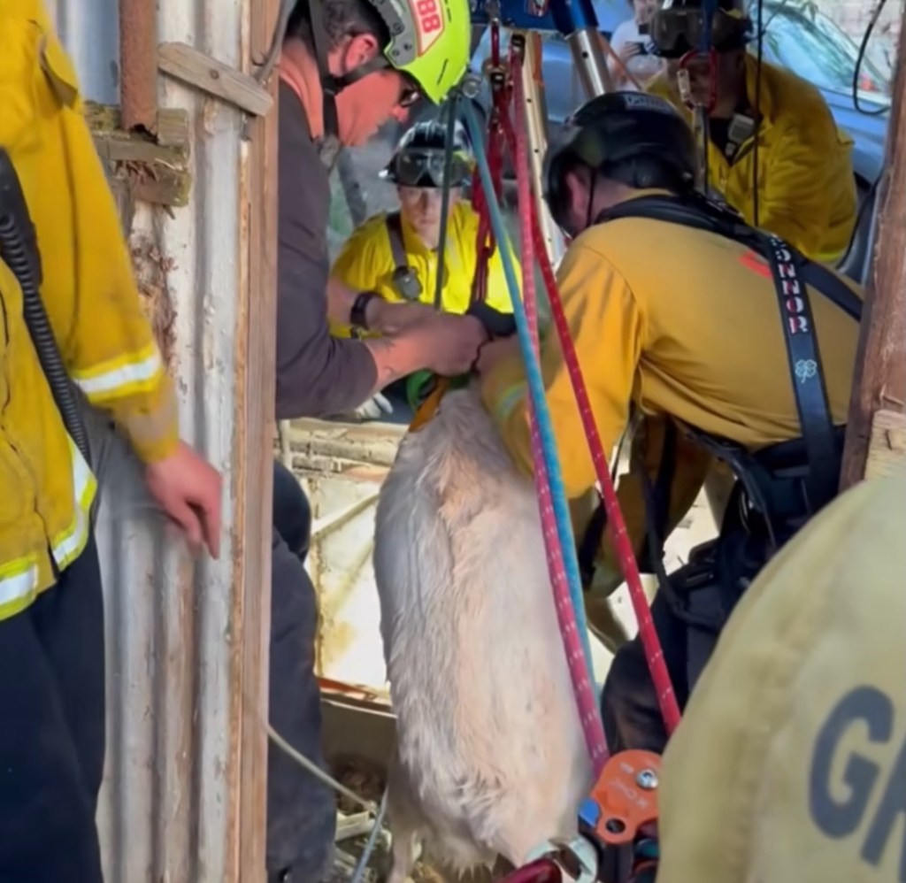Rescue workers from the Nevada County Consolidated Fire District were called and rushed to the scene along with partner agencies from Grass Valley Fire.