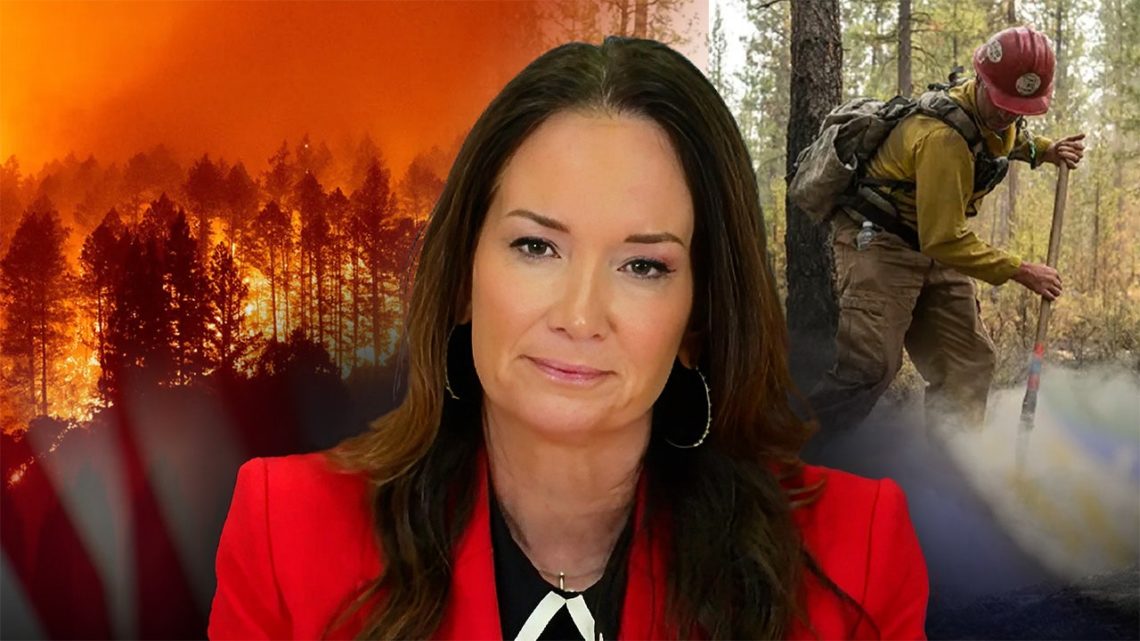 As US braces for ‘significant’ wildfires, Trump’s agriculture secretary addresses Forest Service departures