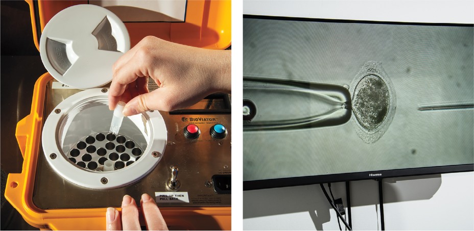 2 photos: hand putting sample into round lidded BioViator machine; computer monitor showing enlarged microscopic cell at end of pipette with needle