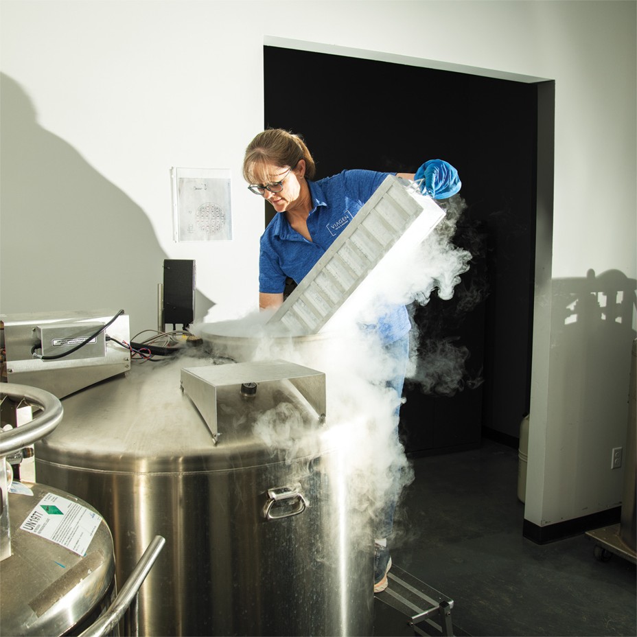 photo of woman in blue scrubs and gloves holding large white tray with clouds of gas over large stainless cylinder