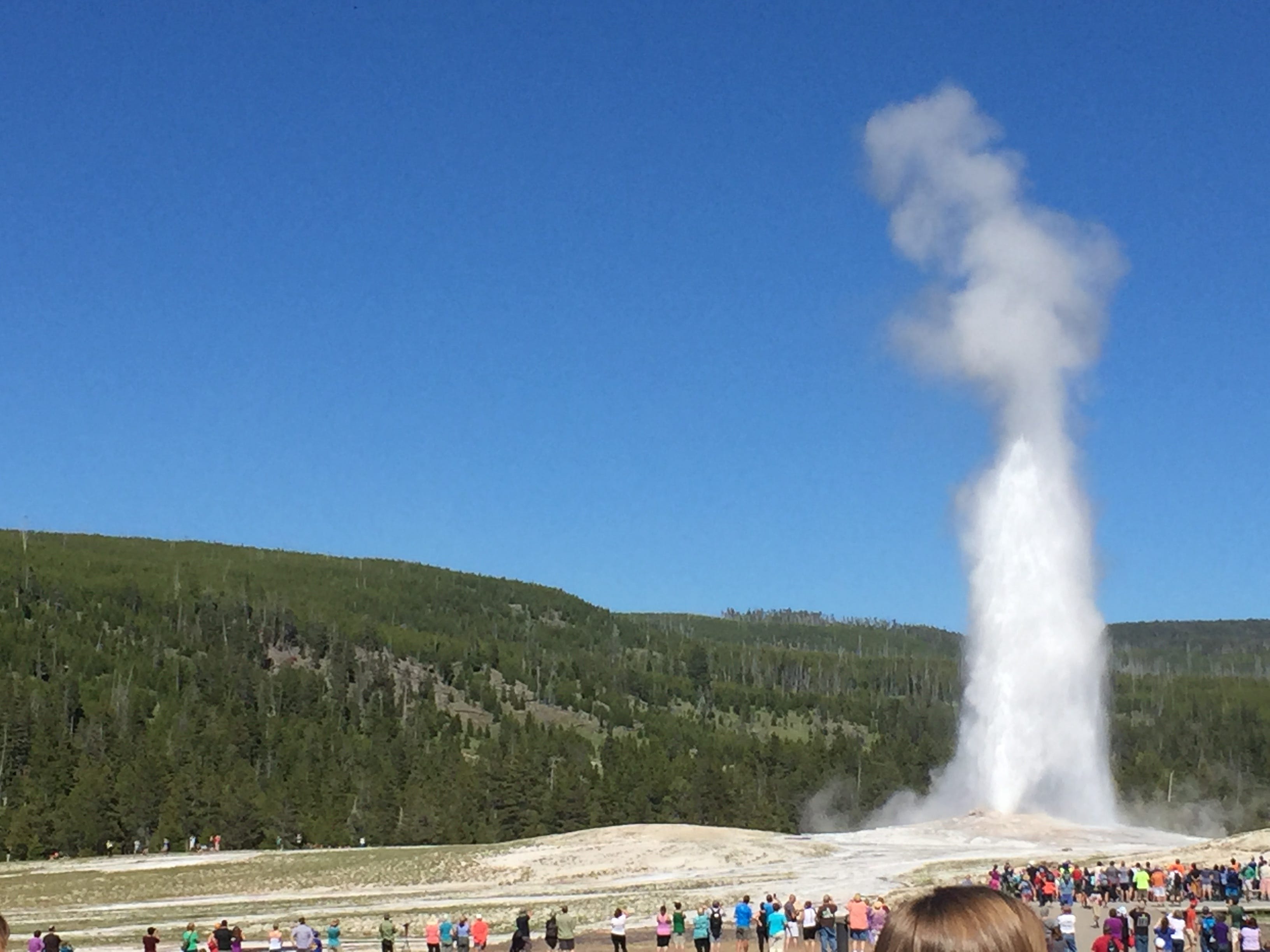 The Old Faithful geyser erupts in Yellowstone National Park.