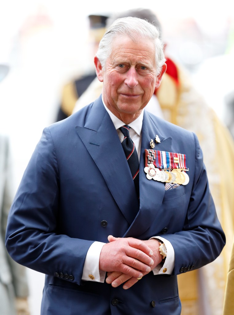 King Charles III in 2015. 