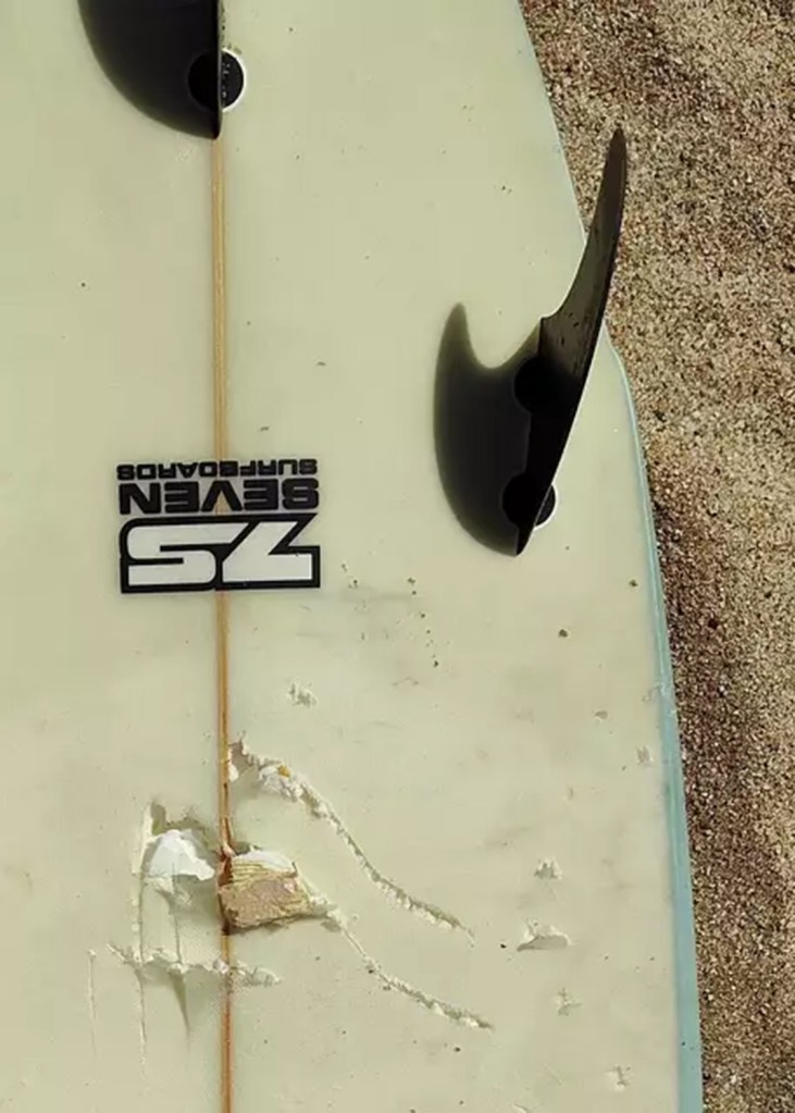 Damaged surfboard with Z5 Seven Surfboards logo.