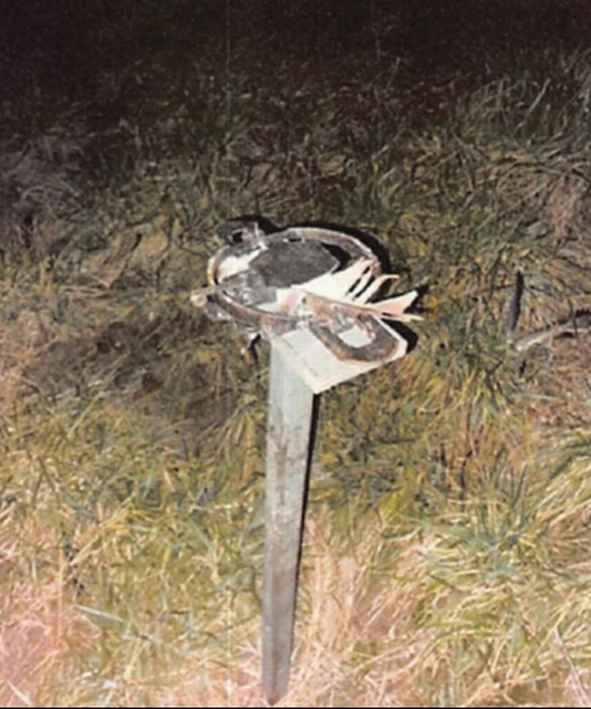 Pole trap with dead bird.