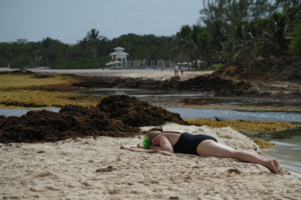A woman sunbathes on a beach during the sargassum seaweed in Playa del Carmen, Mexico on June 3, 2025.