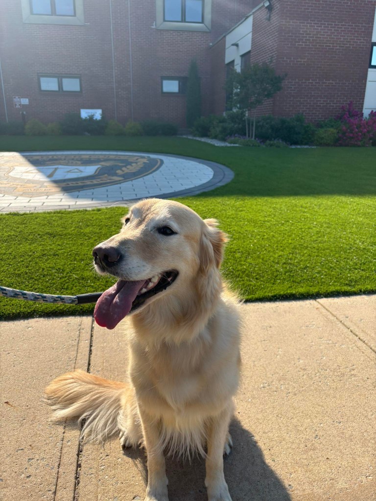 Archie was reunited with Silva after the dog search campaign.