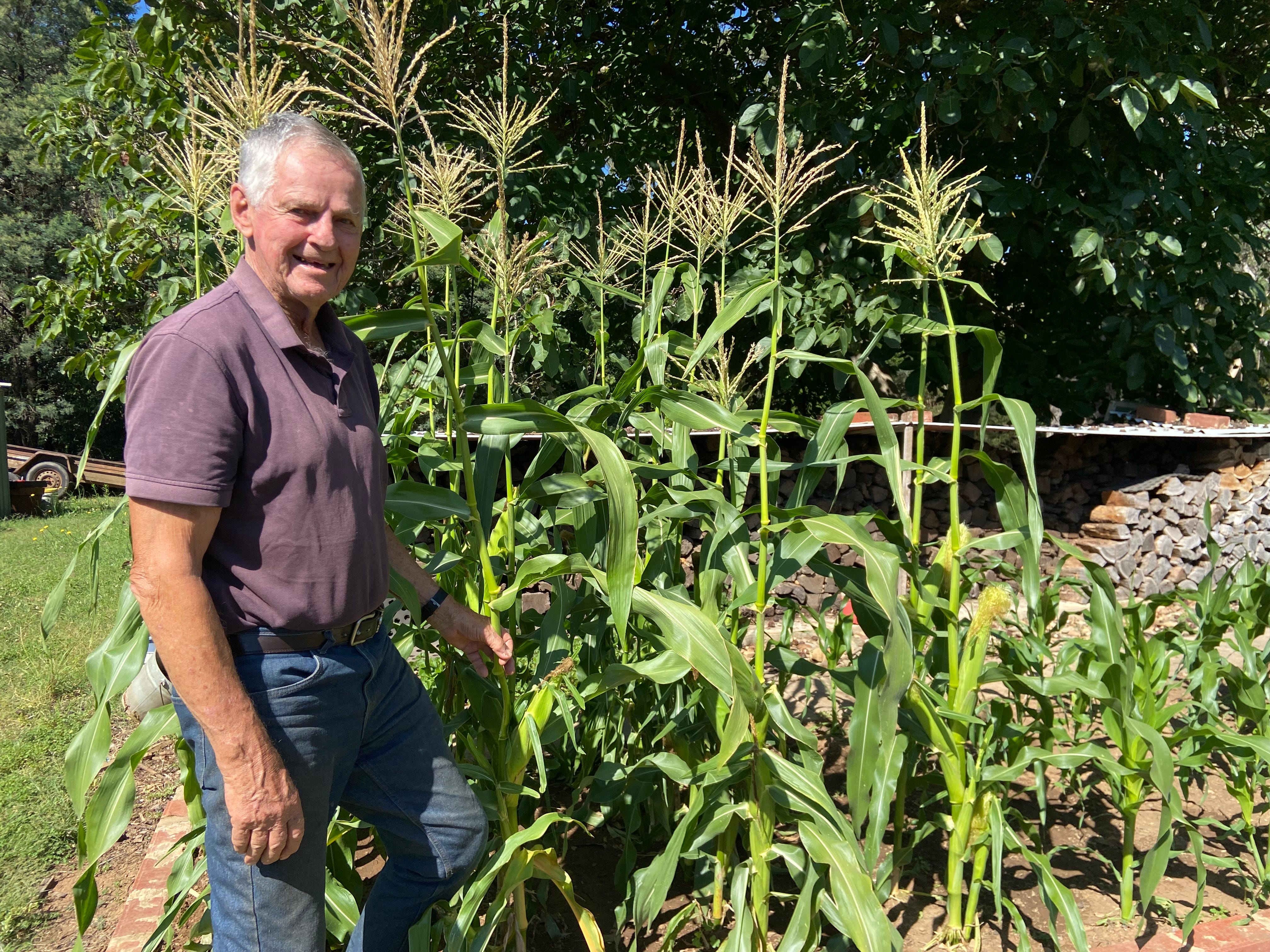 Frank Noble in his garden.