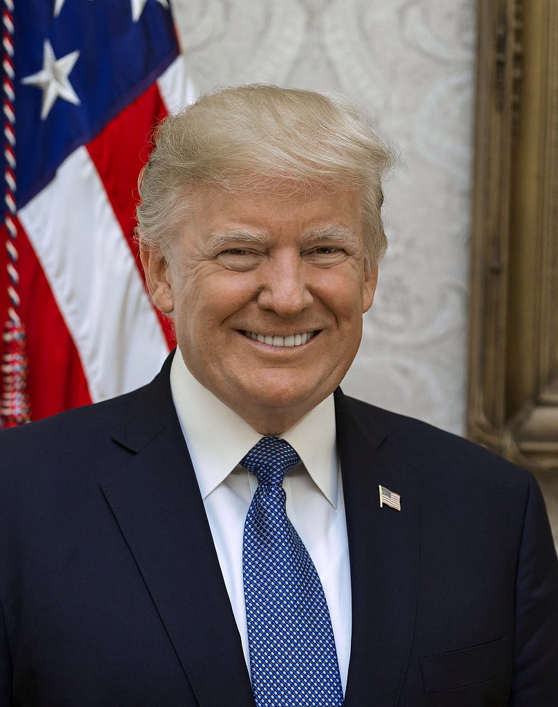 Donald Trump's first White House portrait.