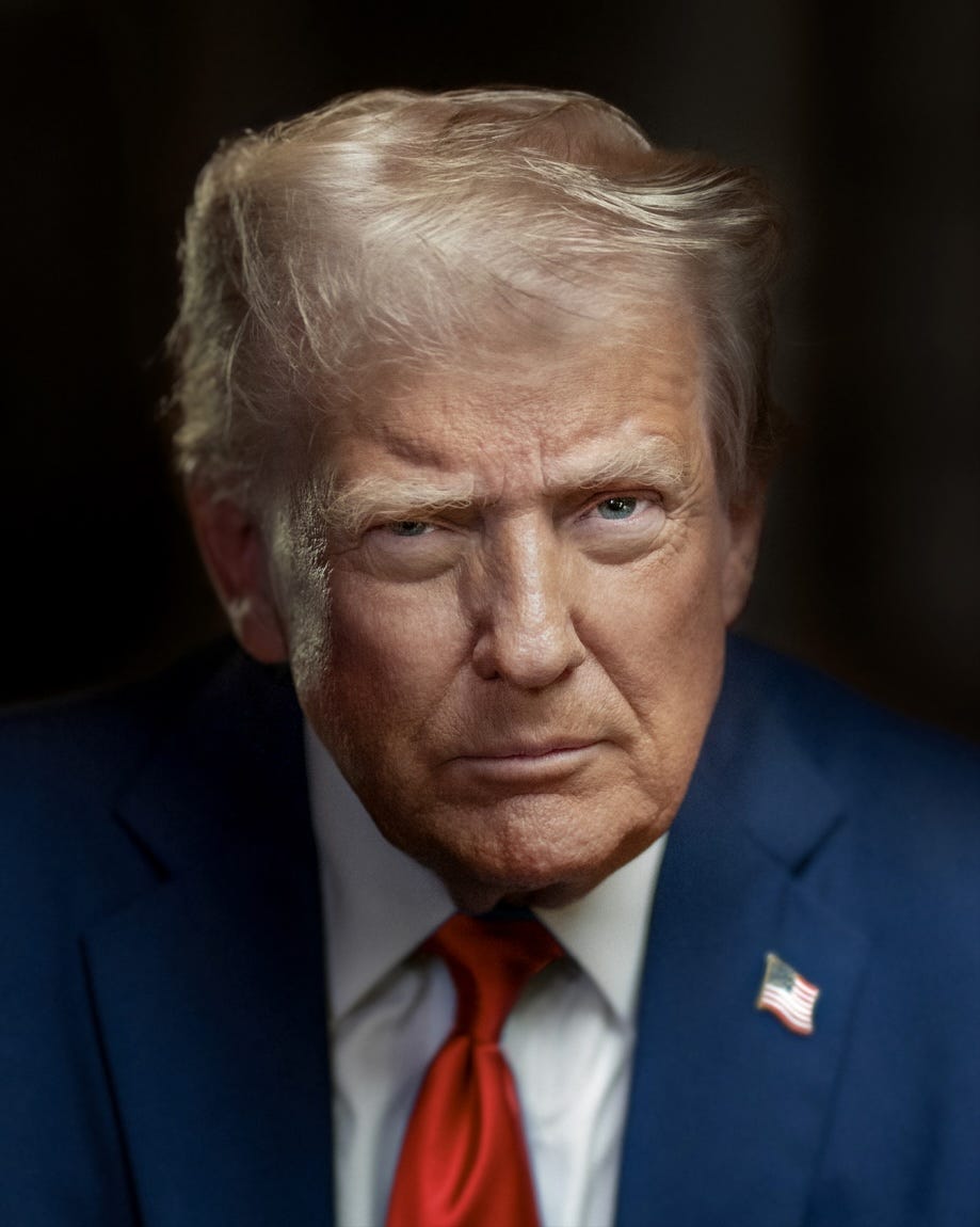Donald Trump's new White House portrait.