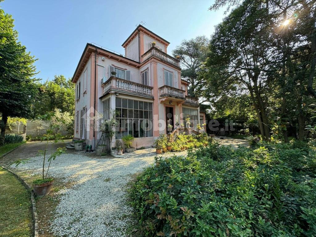 Photo of a pink house surrounded by greenery.