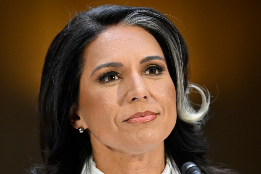 Headshot of Tulsi Gabbard.