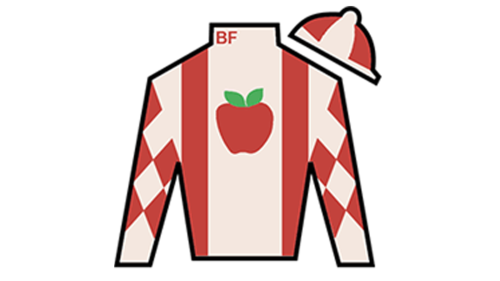 Journalism Silks 2 - 2025 Kentucky Derby.png